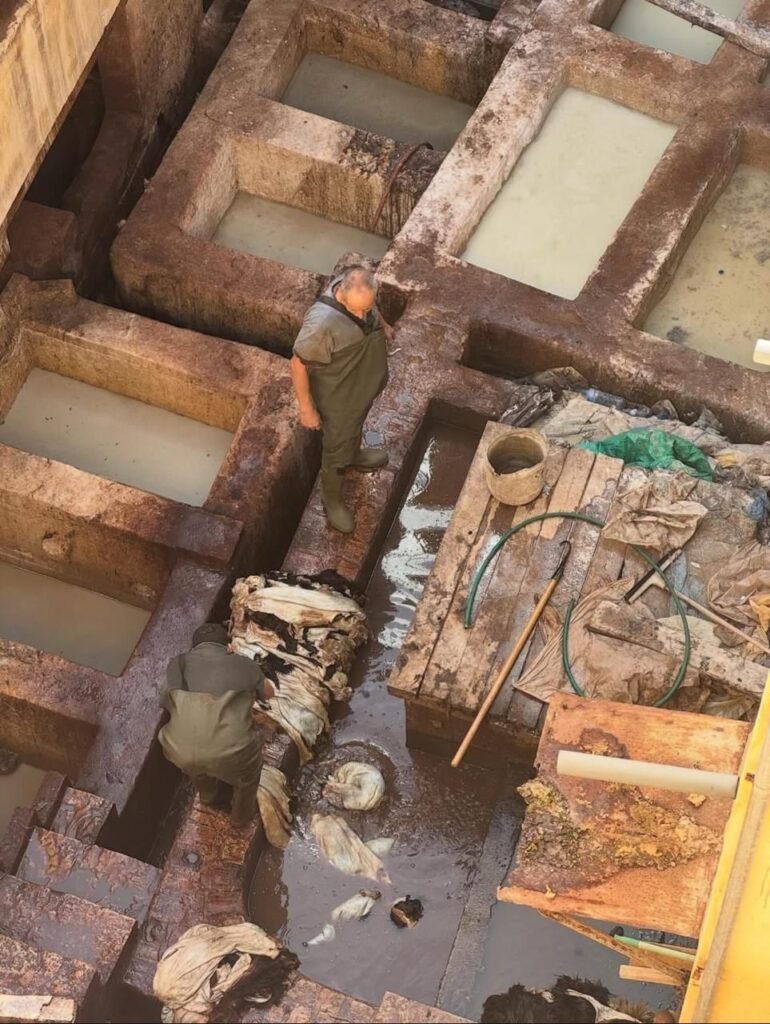 PHOTO-2026-02-13-16-32-48 2