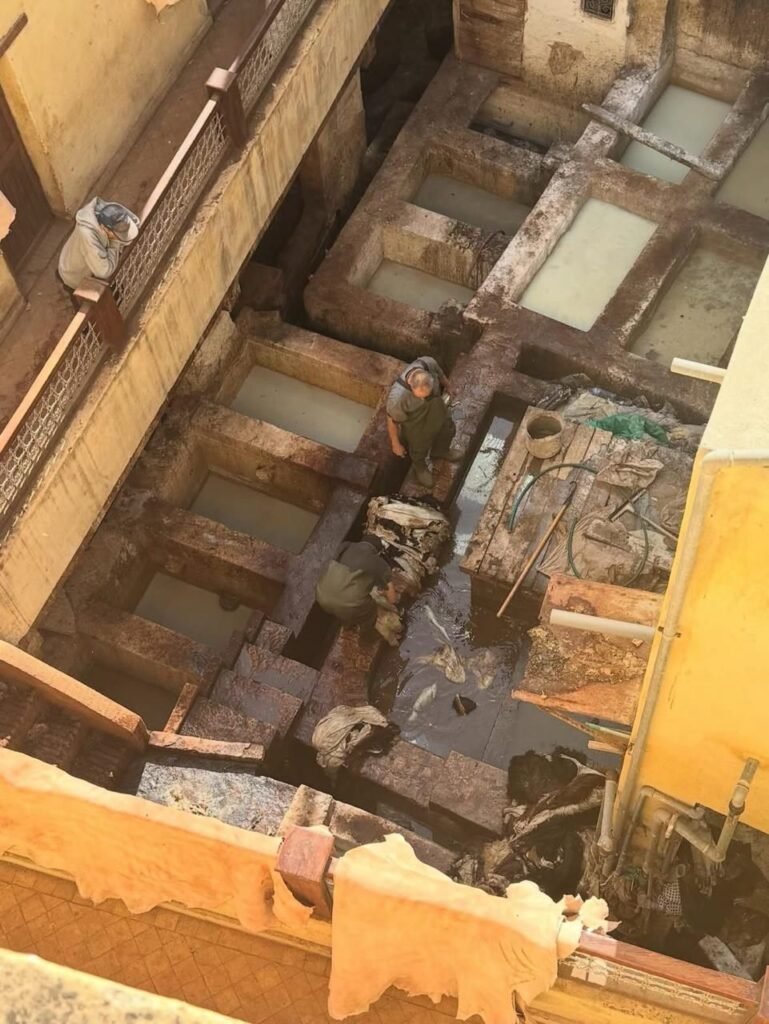 PHOTO-2026-02-13-16-32-48