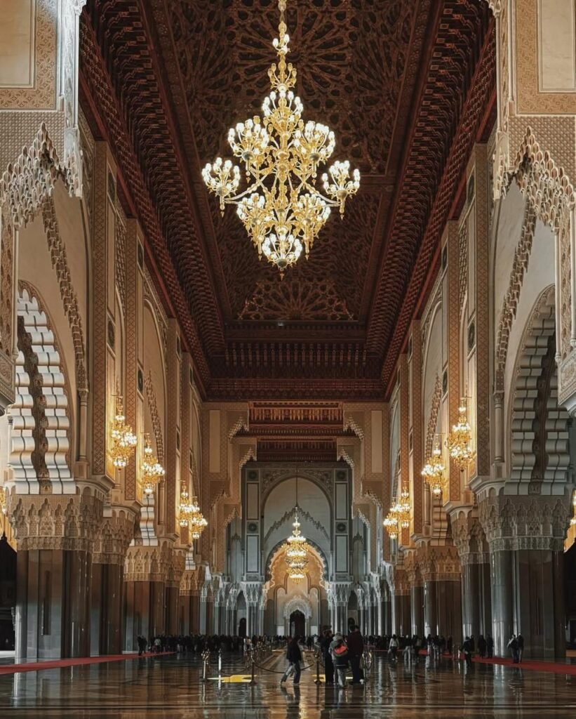 PHOTO-2026-02-13-16-32-54 2